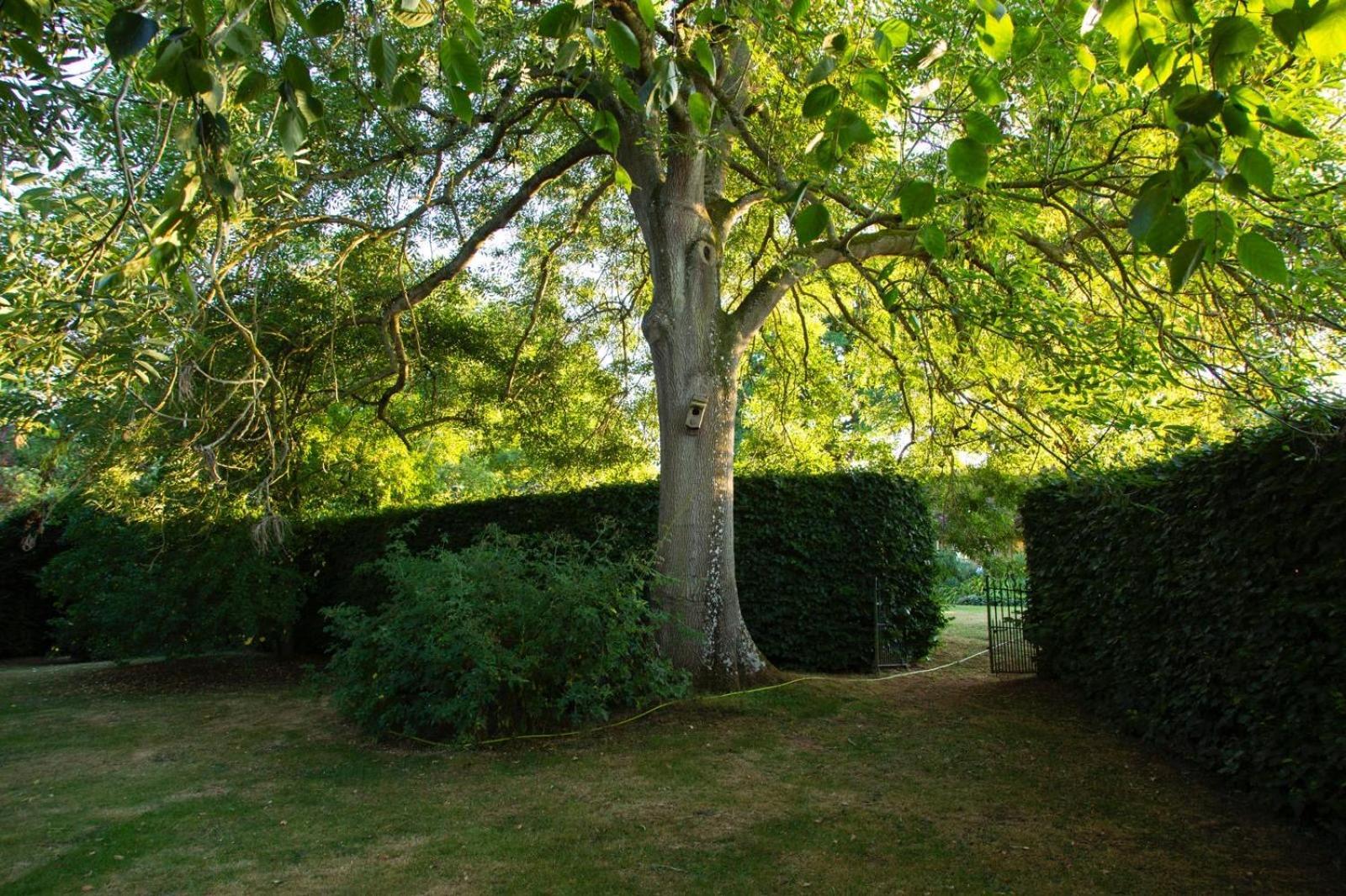 Ebony Cottage Tenbury Kültér fotó