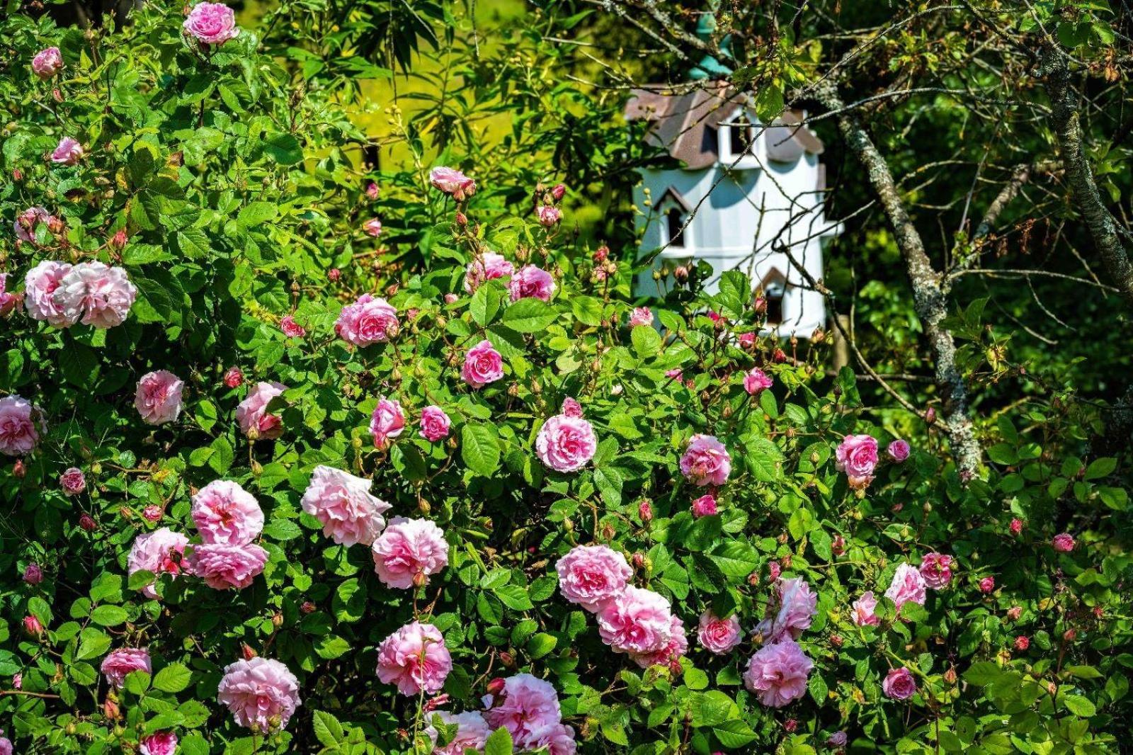 Ebony Cottage Tenbury Kültér fotó